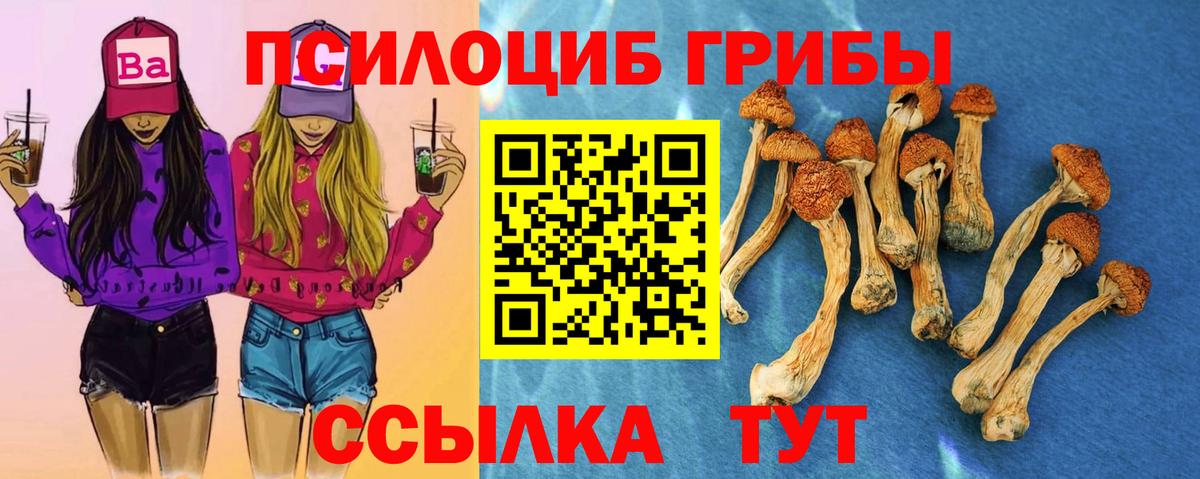 Галлюциногенные грибы прущие грибы  Вход с VPN  Новотроицк 